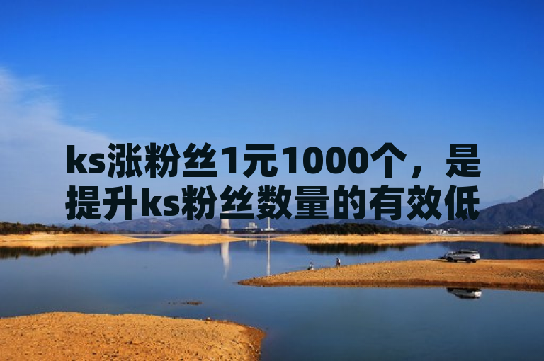 ks涨粉丝1元1000个，是提升ks粉丝数量的有效低成本方式。