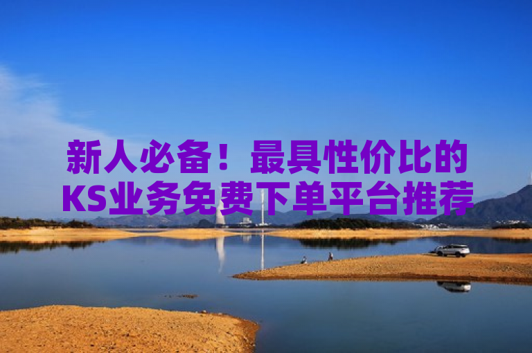 新人必备！最具性价比的KS业务免费下单平台推荐，享受最便宜的重要措施！