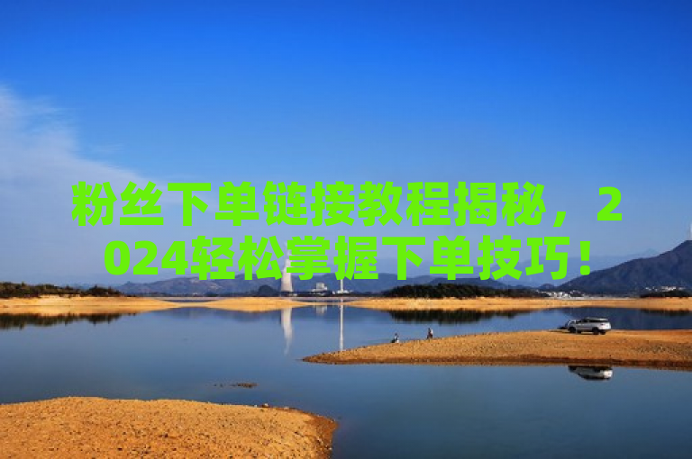 粉丝下单链接教程揭秘，2024轻松掌握下单技巧！