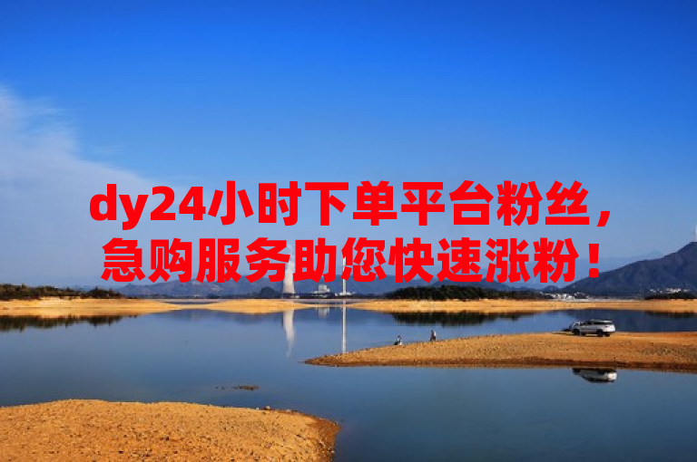 dy24小时下单平台粉丝，急购服务助您快速涨粉！