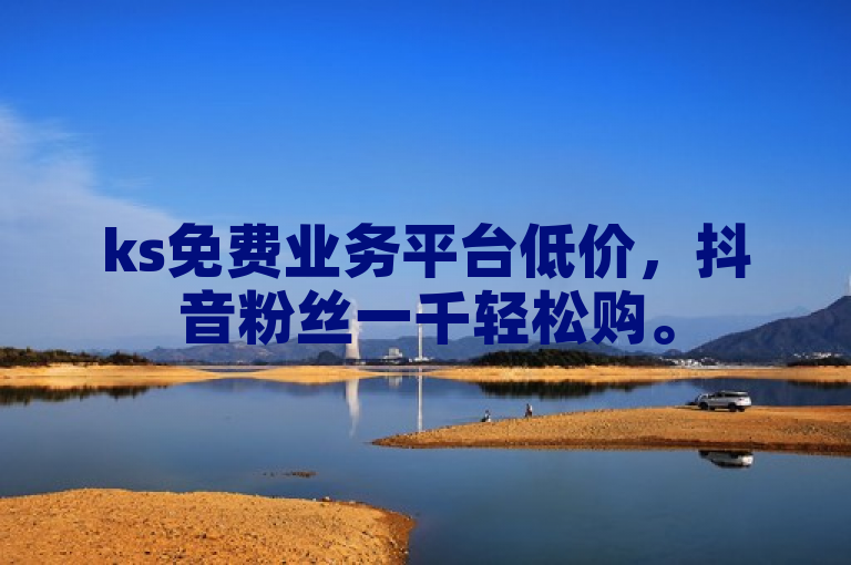 ks免费业务平台低价，抖音粉丝一千轻松购。