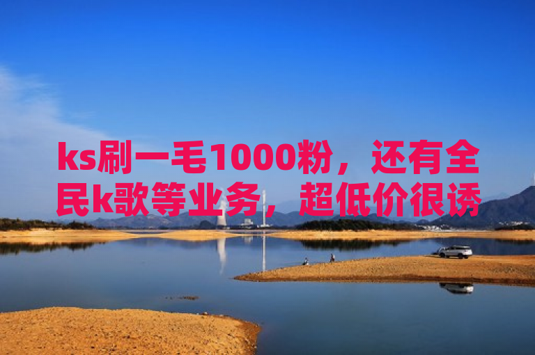ks刷一毛1000粉，还有全民k歌等业务，超低价很诱人。