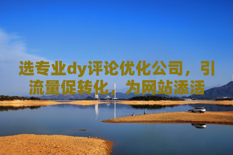 选专业dy评论优化公司，引流量促转化，为网站添活力。