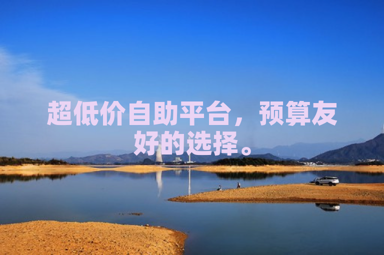超低价自助平台，预算友好的选择。
