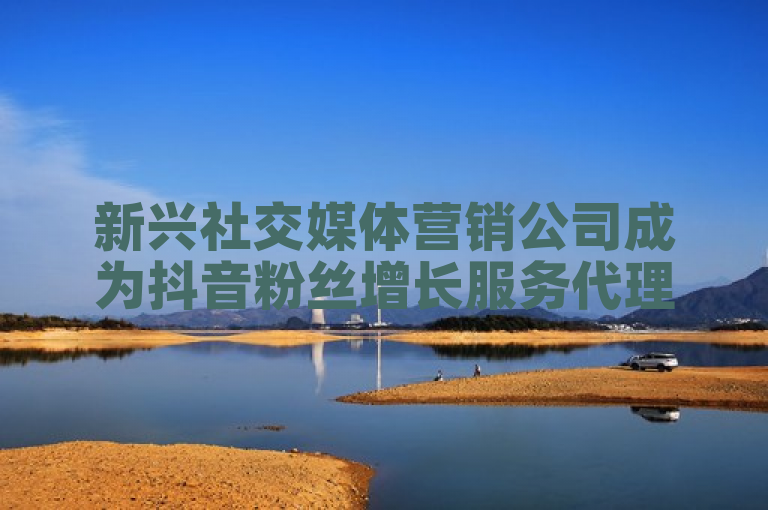 新兴社交媒体营销公司成为抖音粉丝增长服务代理商。
