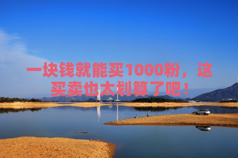 一块钱就能买1000粉，这买卖也太划算了吧！