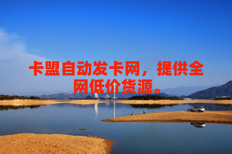 卡盟自动发卡网，提供全网低价货源。