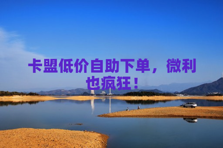卡盟低价自助下单，微利也疯狂！