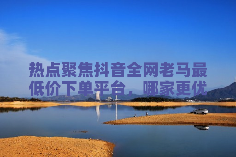 热点聚焦抖音全网老马最低价下单平台，哪家更优？速来探寻！