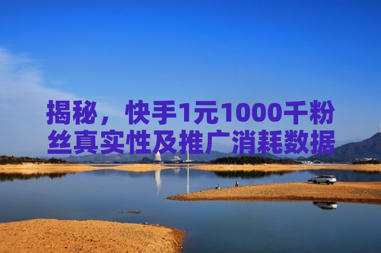揭秘，快手1元1000千粉丝真实性及推广消耗数据背后