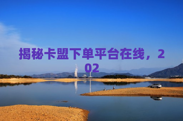 揭秘卡盟下单平台在线，2025必学其高效便捷之道！
