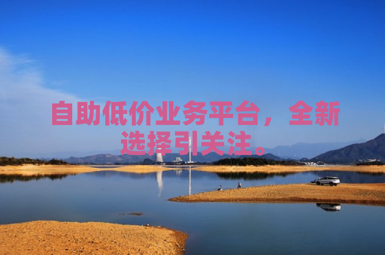 自助低价业务平台，全新选择引关注。