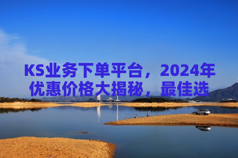 KS业务下单平台，2024年优惠价格大揭秘，最佳选择不容错过！