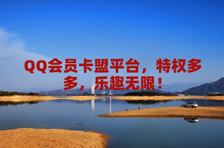 QQ会员卡盟平台，特权多多，乐趣无限！