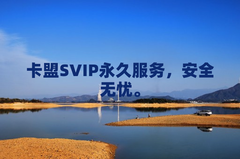卡盟SVIP永久服务，安全无忧。
