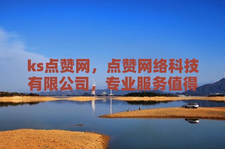 ks点赞网，点赞网络科技有限公司，专业服务值得信赖。