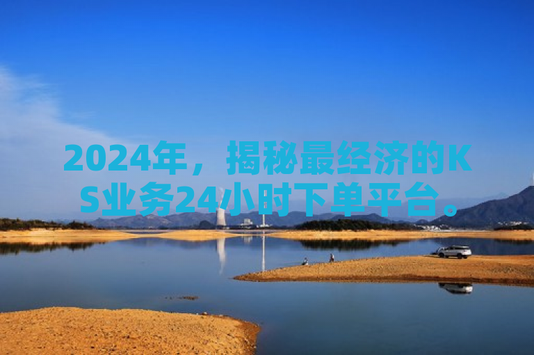 2024年，揭秘最经济的KS业务24小时下单平台。