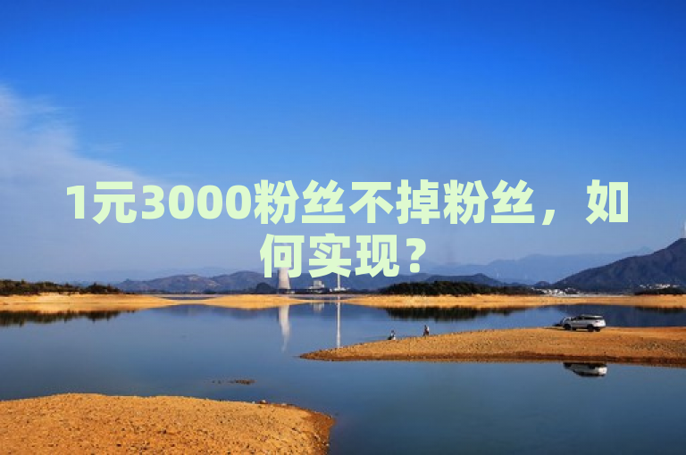 1元3000粉丝不掉粉丝，如何实现？