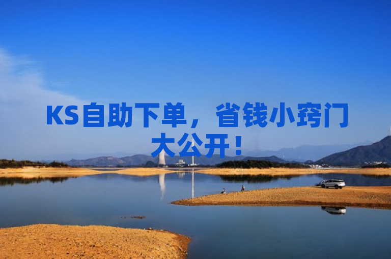 KS自助下单，省钱小窍门大公开！