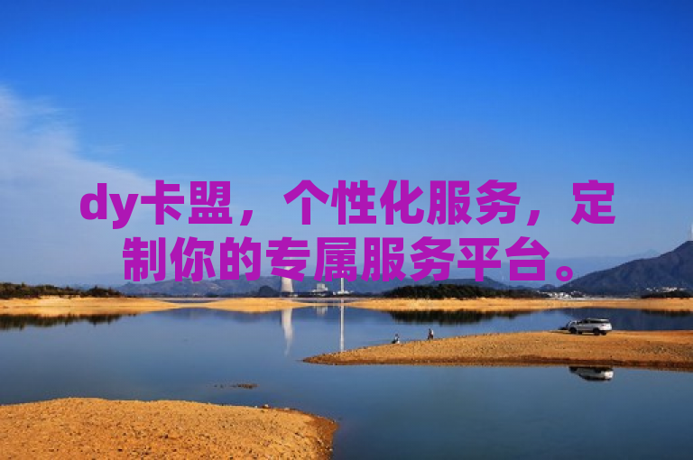 dy卡盟，个性化服务，定制你的专属服务平台。