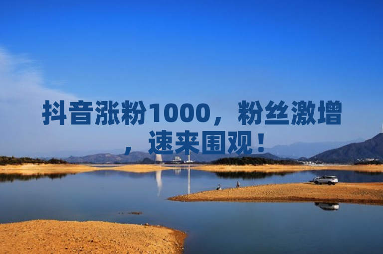 抖音涨粉1000，粉丝激增，速来围观！