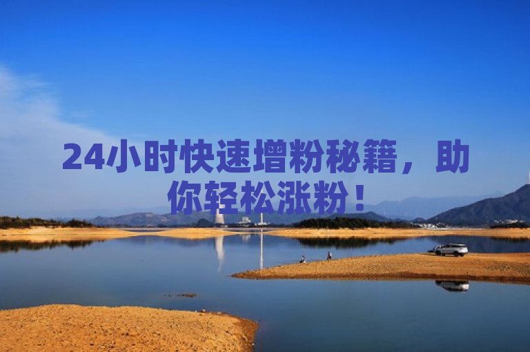 24小时快速增粉秘籍，助你轻松涨粉！