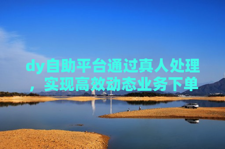 dy自助平台通过真人处理，实现高效动态业务下单。