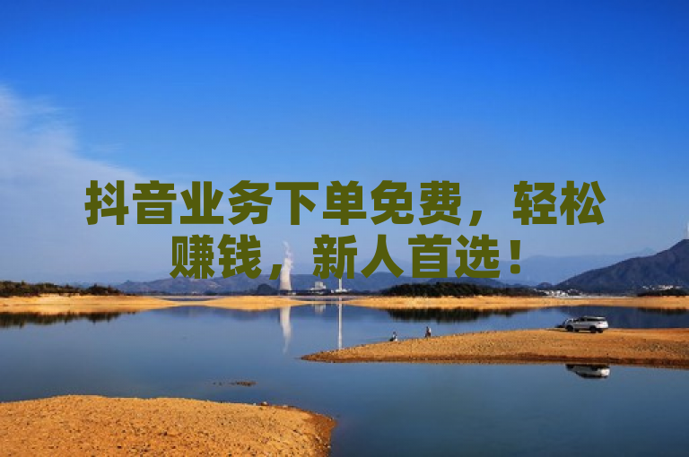 抖音业务下单免费，轻松赚钱，新人首选！