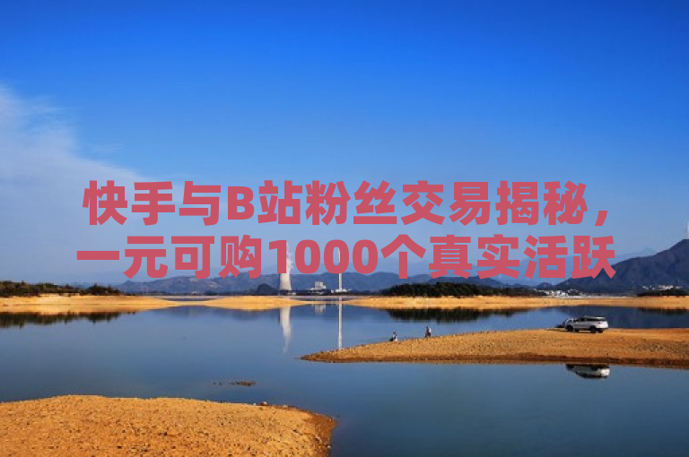 快手与B站粉丝交易揭秘，一元可购1000个真实活跃粉丝。