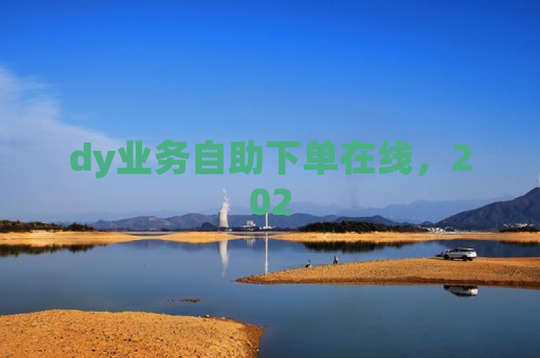 dy业务自助下单在线，2025必学，便捷操作指南助您轻松掌握！