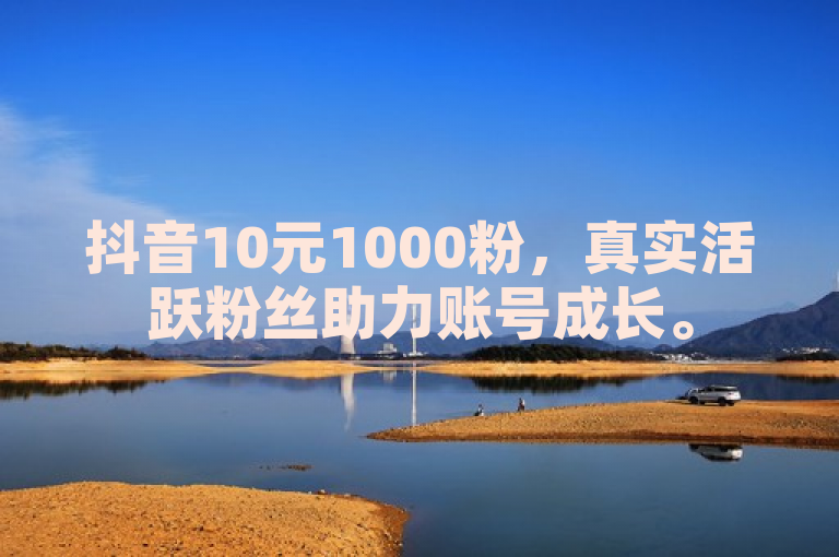 抖音10元1000粉，真实活跃粉丝助力账号成长。