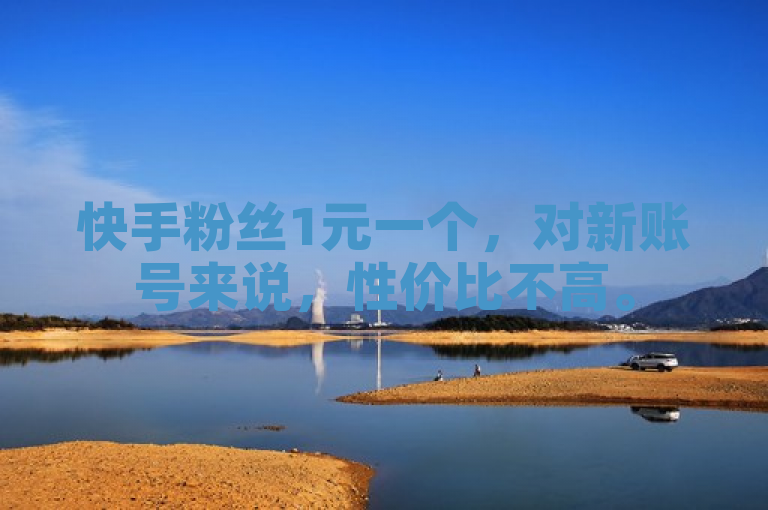 快手粉丝1元一个，对新账号来说，性价比不高。