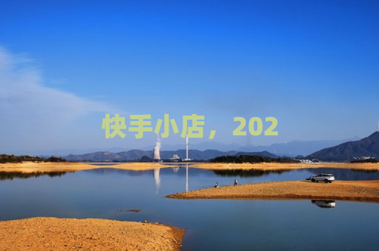 快手小店，2025年购买点赞服务的首选！