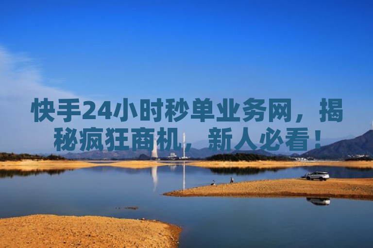 快手24小时秒单业务网，揭秘疯狂商机，新人必看！