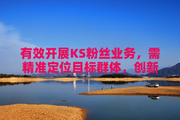有效开展KS粉丝业务，需精准定位目标群体，创新互动策略。