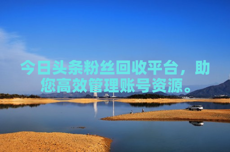 今日头条粉丝回收平台，助您高效管理账号资源。