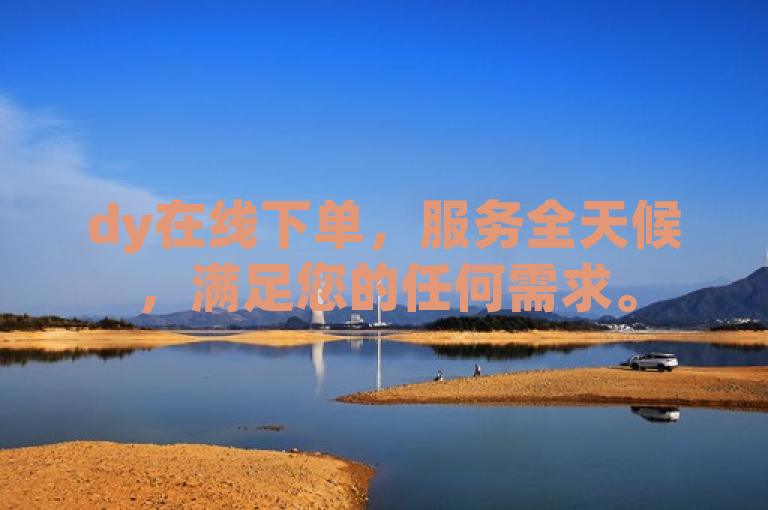 dy在线下单，服务全天候，满足您的任何需求。
