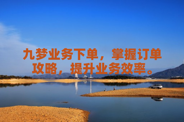 九梦业务下单，掌握订单攻略，提升业务效率。