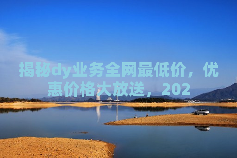 揭秘dy业务全网最低价，优惠价格大放送，2025必学。
