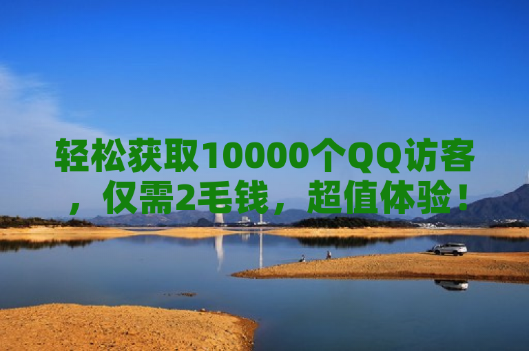 轻松获取10000个QQ访客，仅需2毛钱，超值体验！