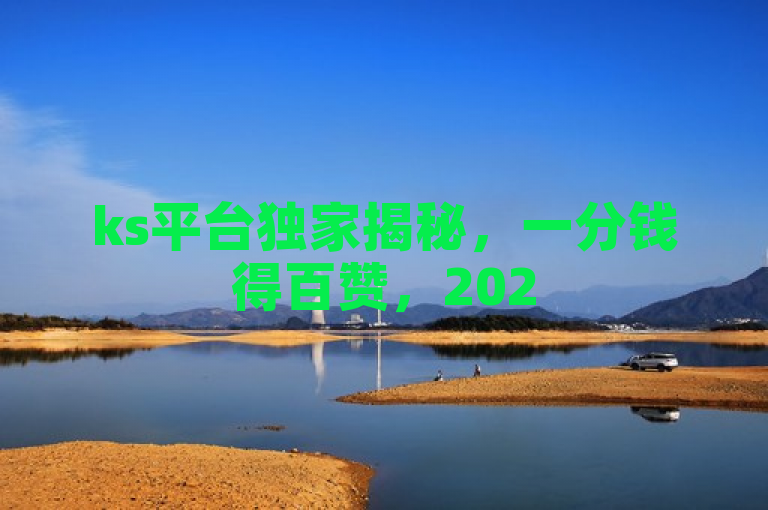 ks平台独家揭秘，一分钱得百赞，2025必备技巧！