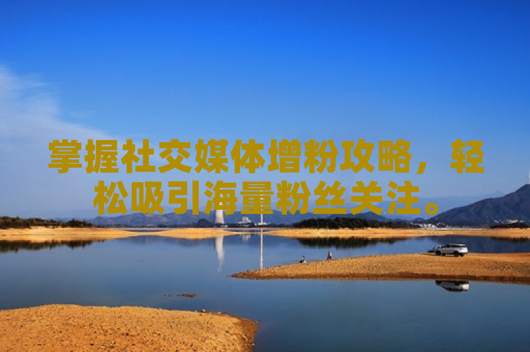 掌握社交媒体增粉攻略，轻松吸引海量粉丝关注。