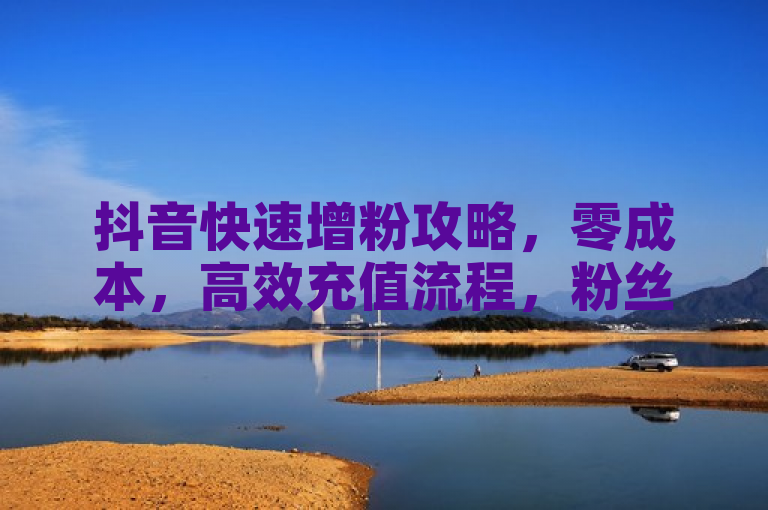 抖音快速增粉攻略，零成本，高效充值流程，粉丝增长无忧。