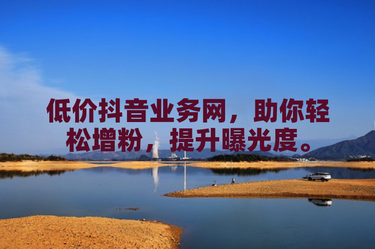 低价抖音业务网，助你轻松增粉，提升曝光度。
