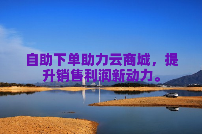自助下单助力云商城，提升销售利润新动力。