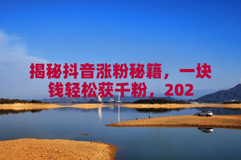 揭秘抖音涨粉秘籍，一块钱轻松获千粉，2025必备技巧！
