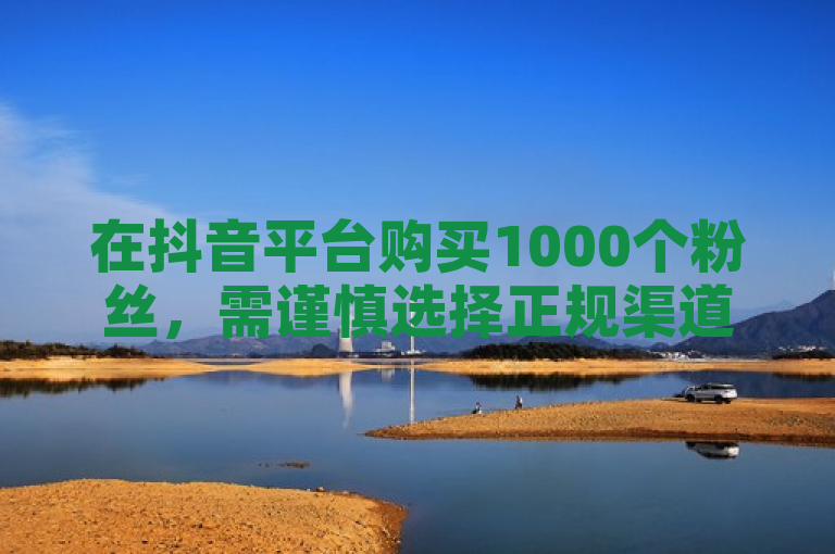 在抖音平台购买1000个粉丝，需谨慎选择正规渠道，确保账号安全与内容质量。