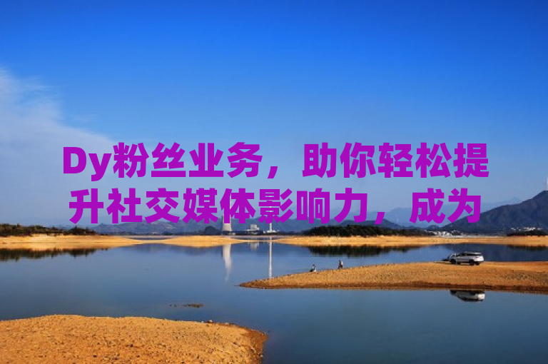 Dy粉丝业务，助你轻松提升社交媒体影响力，成为网络焦点。
