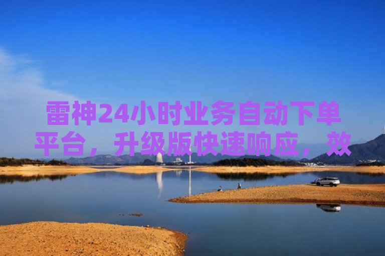 雷神24小时业务自动下单平台，升级版快速响应，效率翻倍。