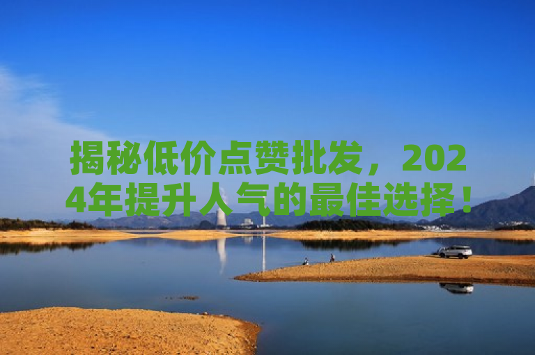 揭秘低价点赞批发，2024年提升人气的最佳选择！